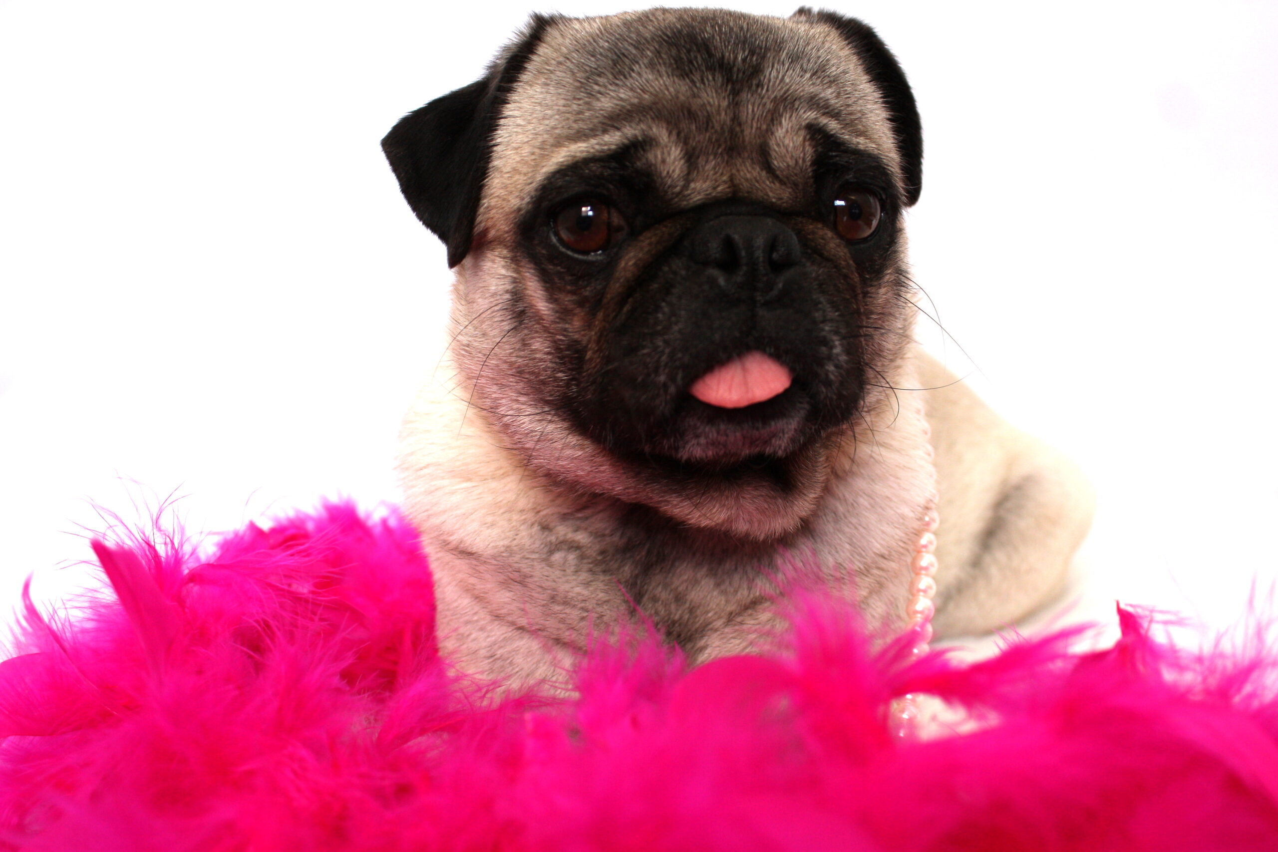 Main Gallery Display