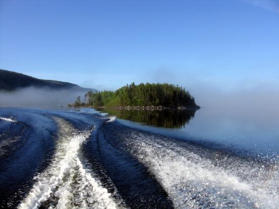 Main Gallery Display