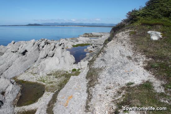Main Gallery Display