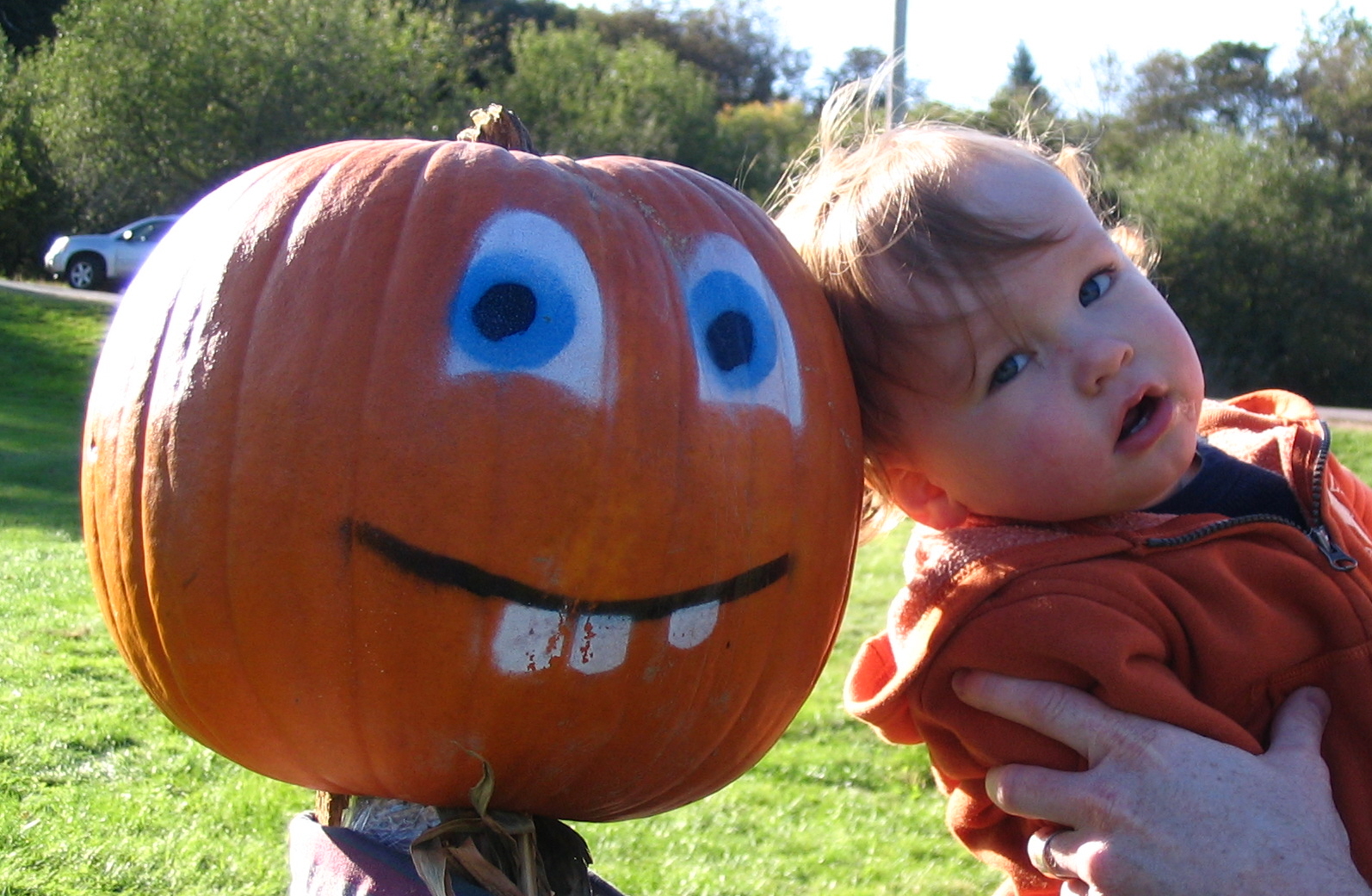Main Gallery Display