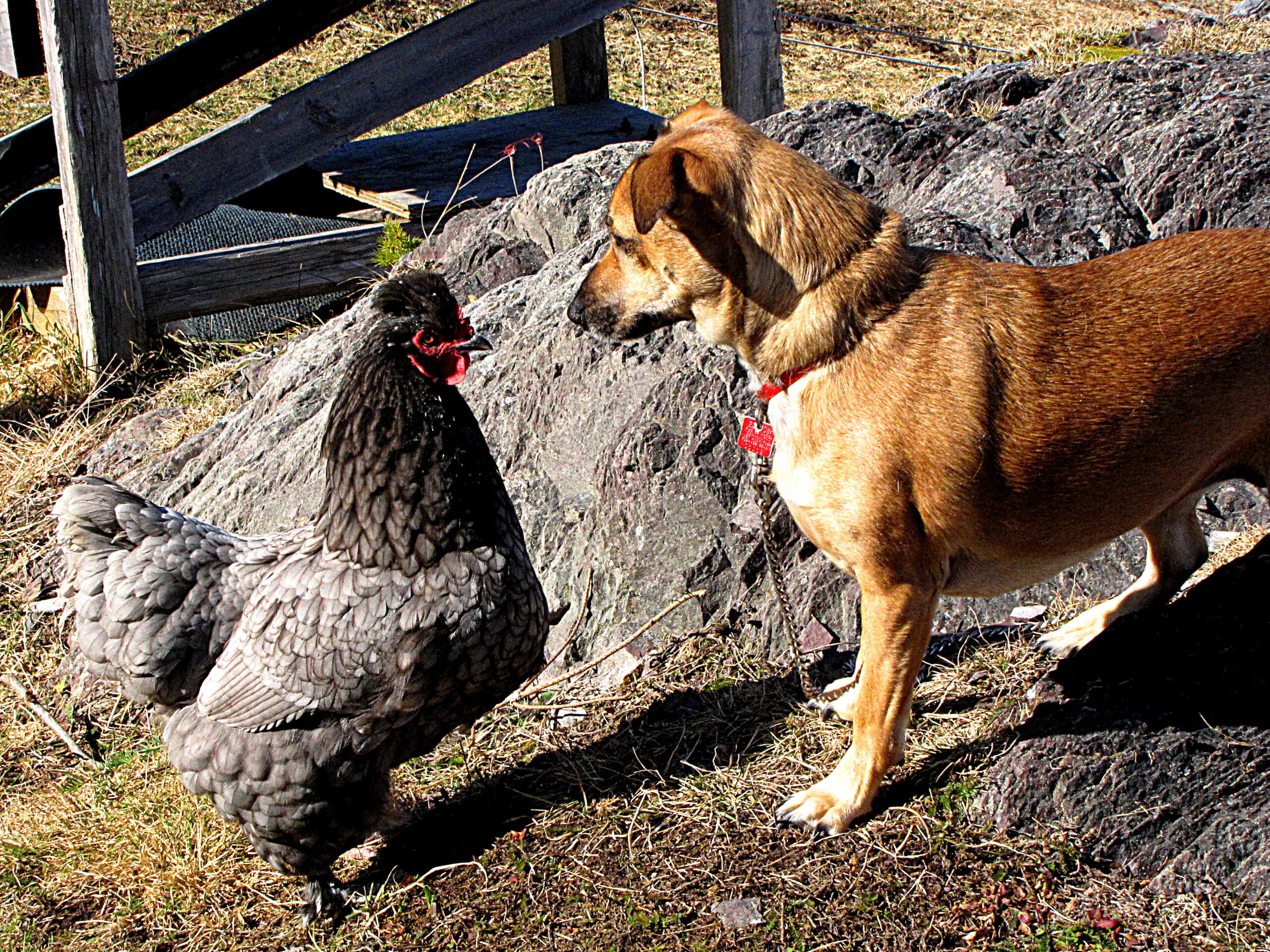Main Gallery Display