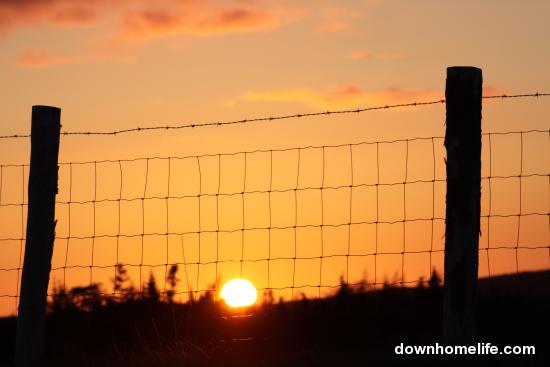 Main Gallery Display
