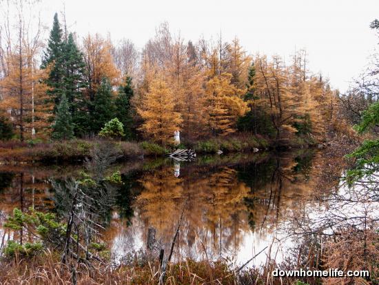 Main Gallery Display