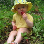 Thumbnail Preview