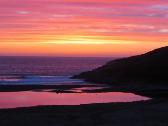 Main Gallery Display