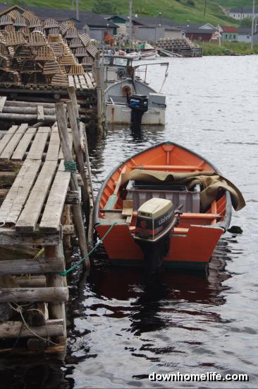 Main Gallery Display