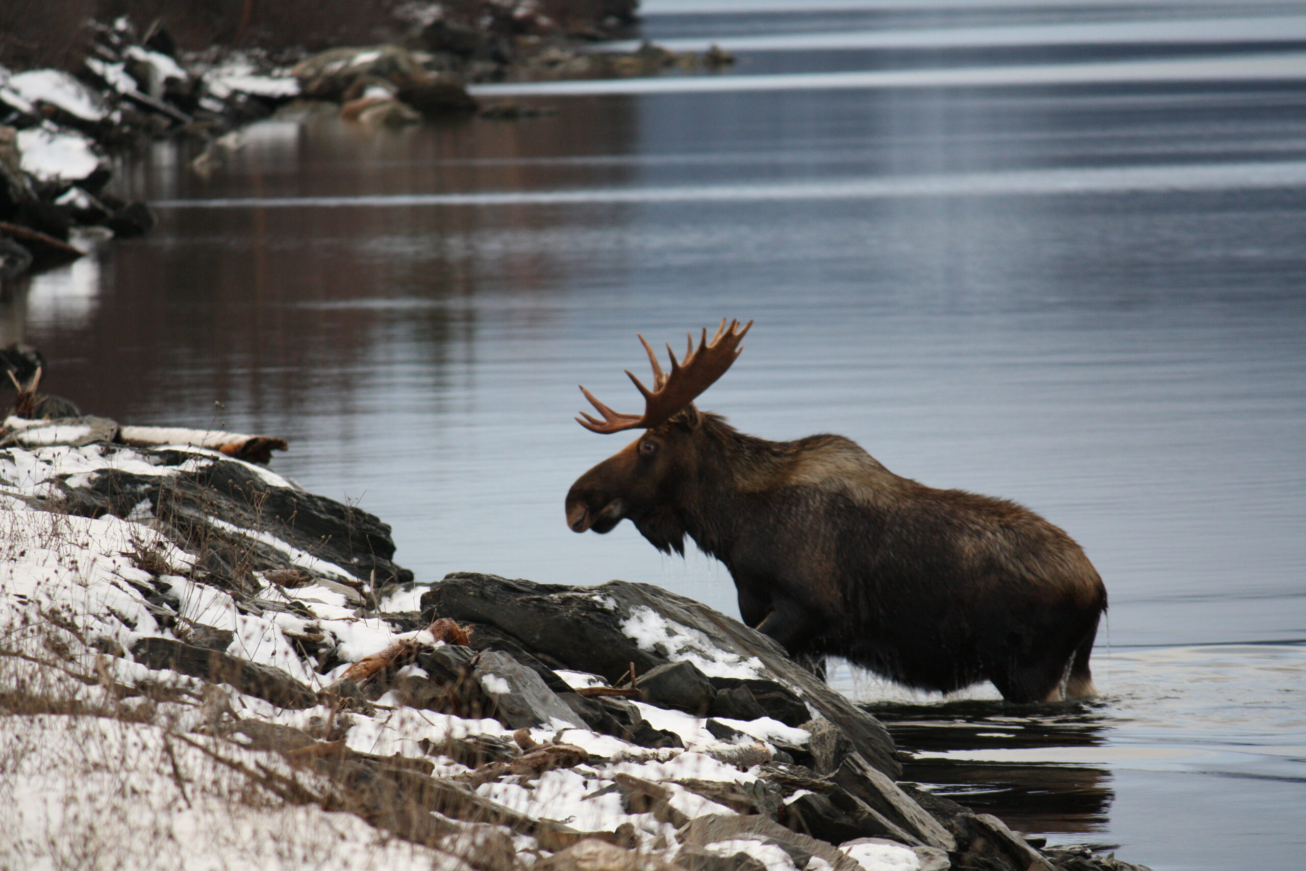 Main Gallery Display
