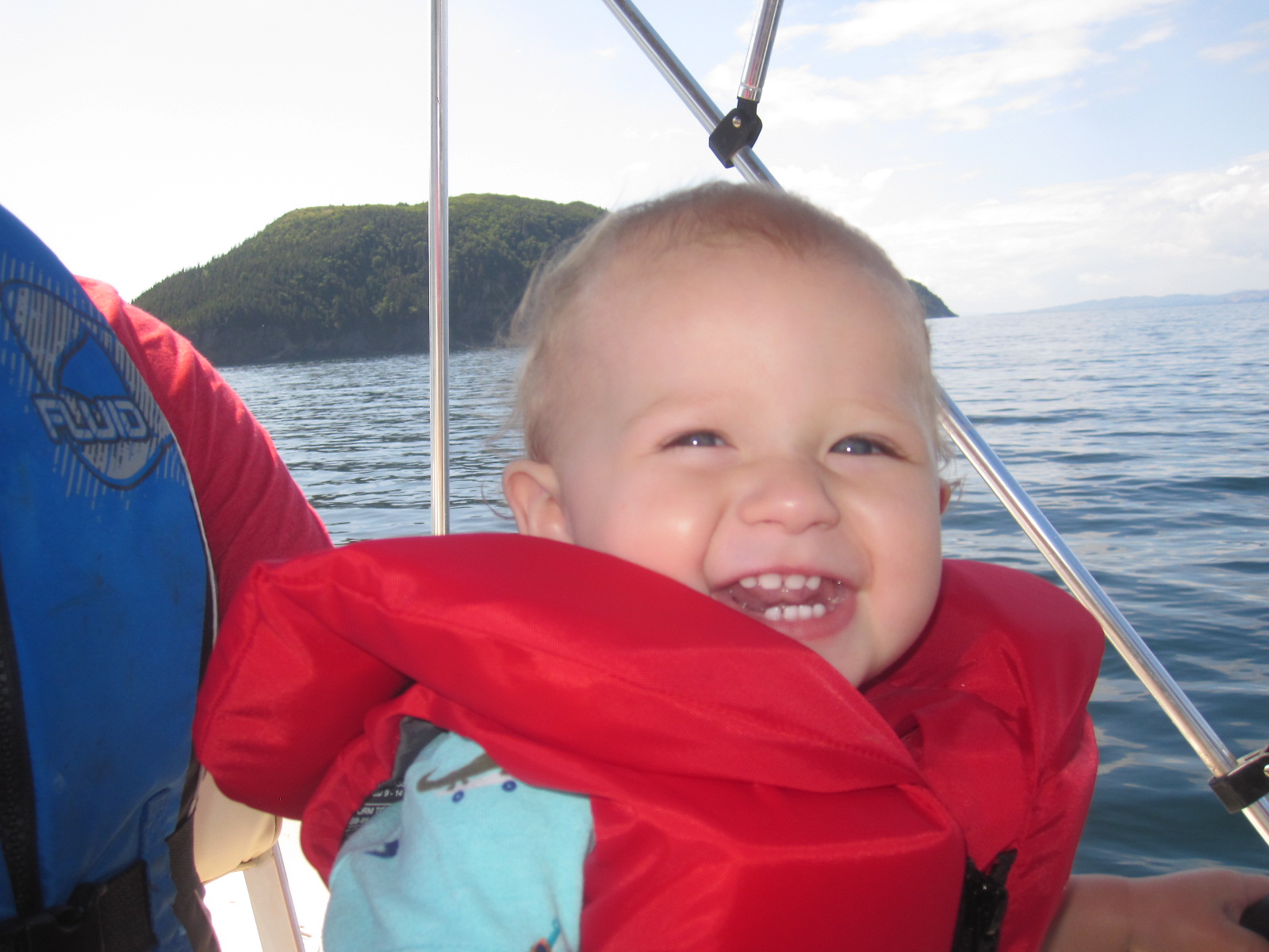 Main Gallery Display