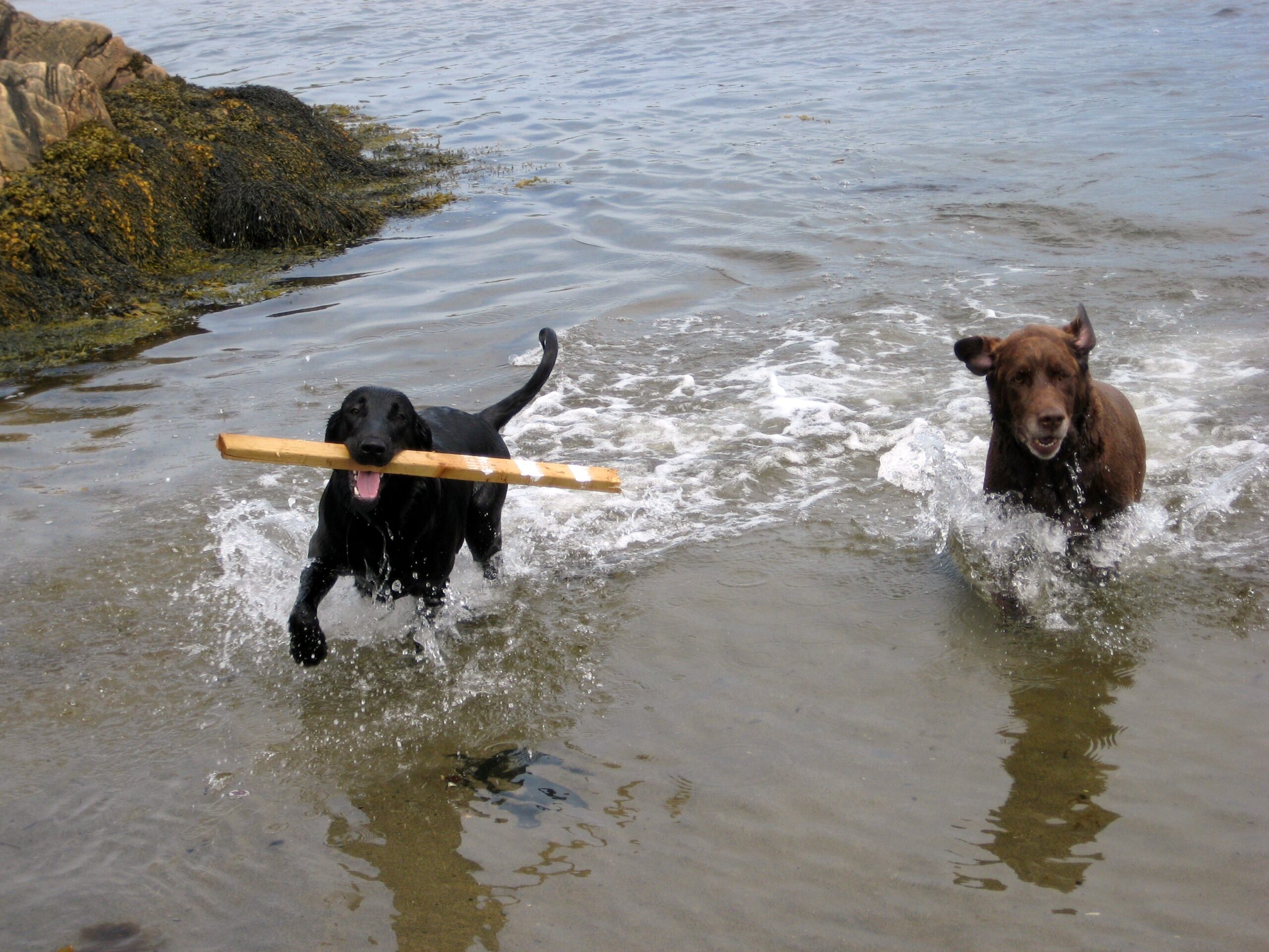 Main Gallery Display
