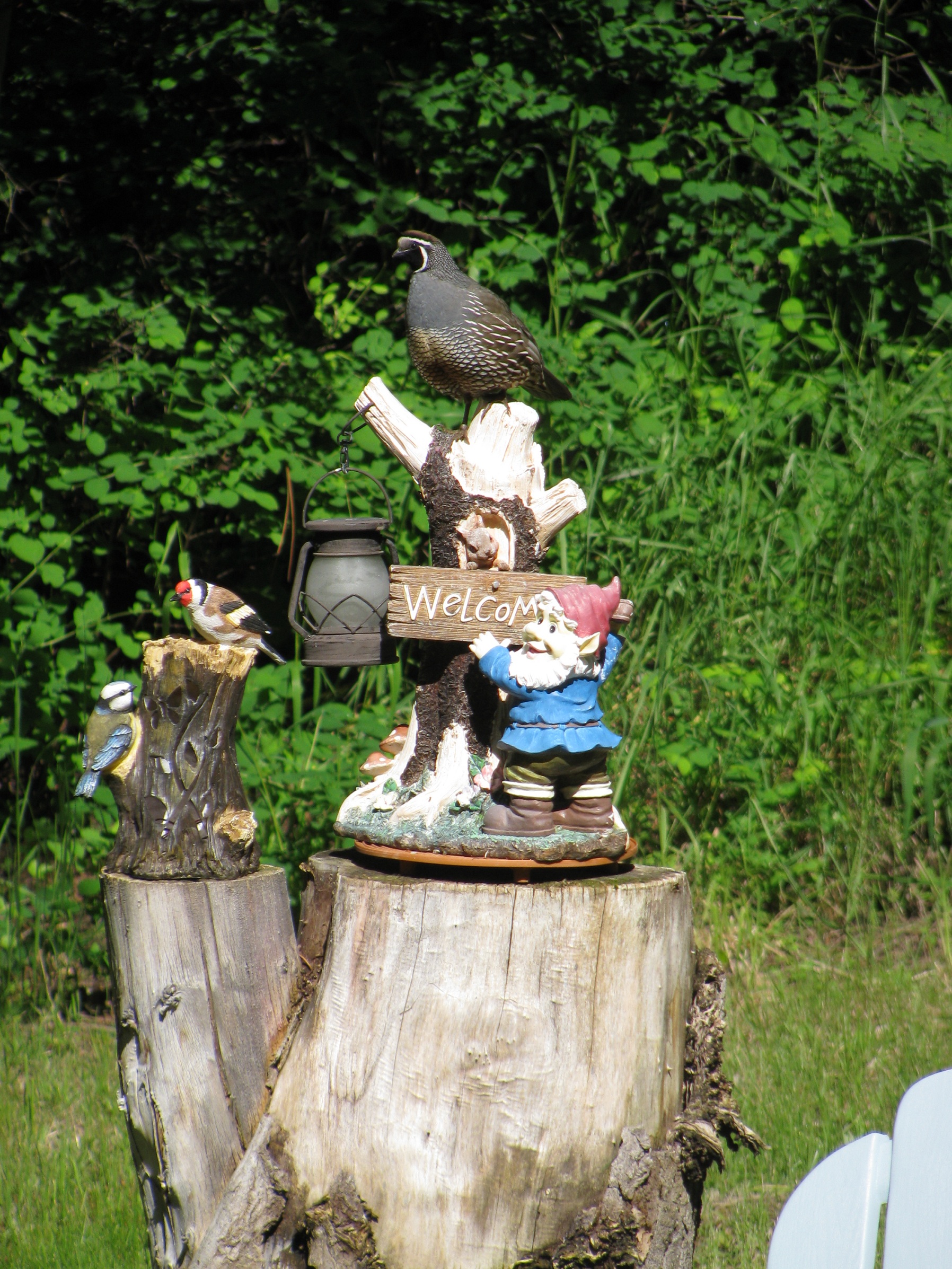 Main Gallery Display