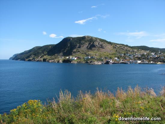 Main Gallery Display