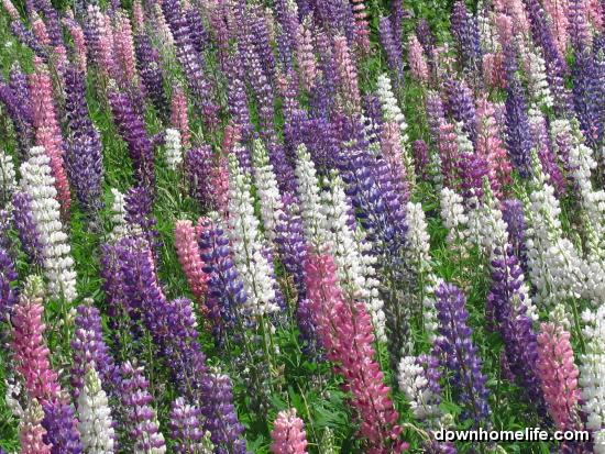 Main Gallery Display