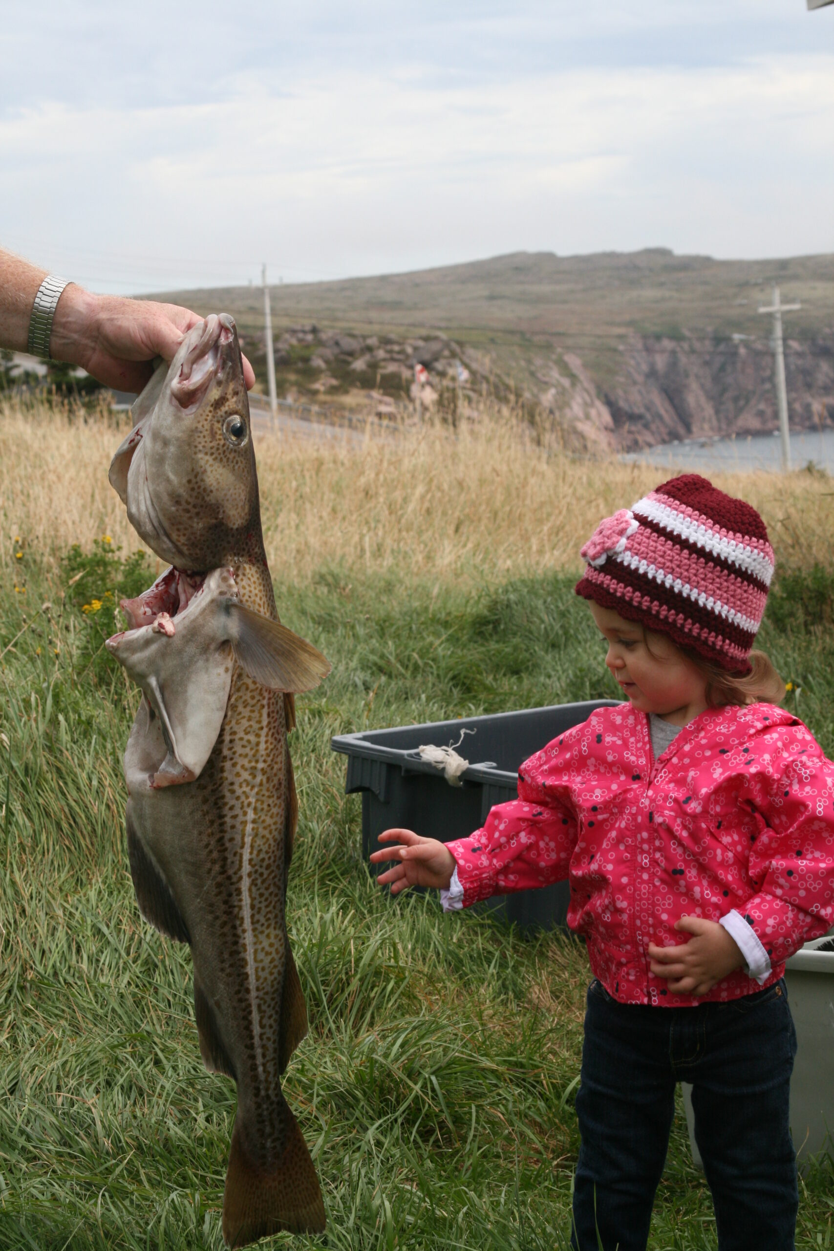 Main Gallery Display
