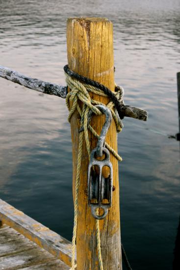 Main Gallery Display