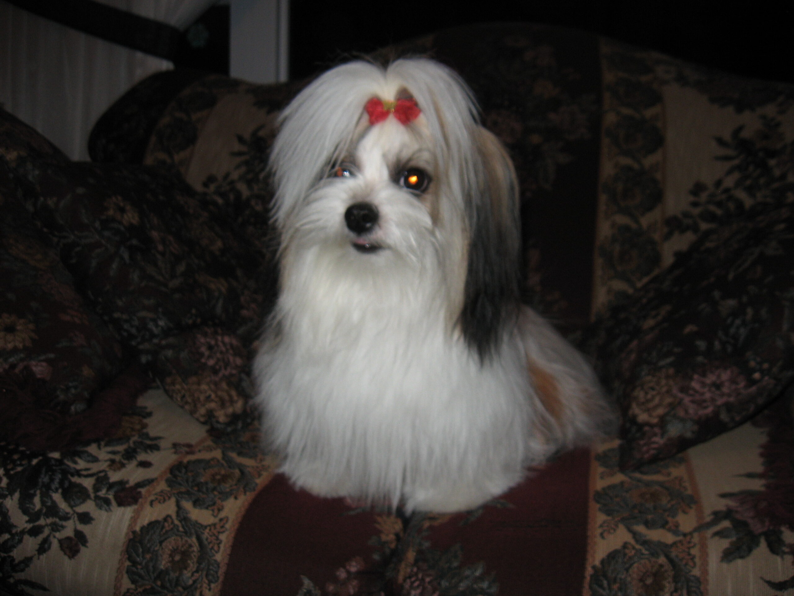 Main Gallery Display