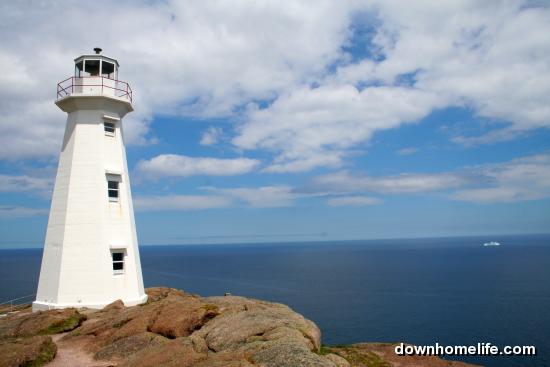 Main Gallery Display