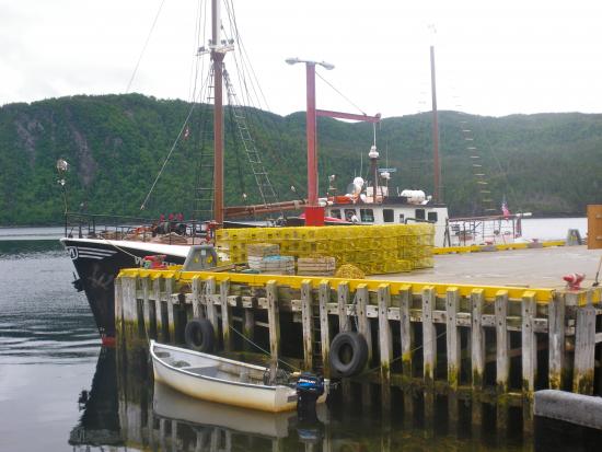 Main Gallery Display