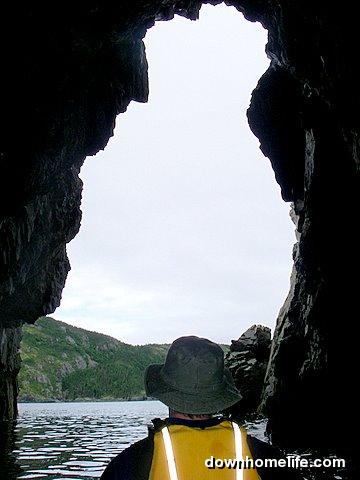 Main Gallery Display