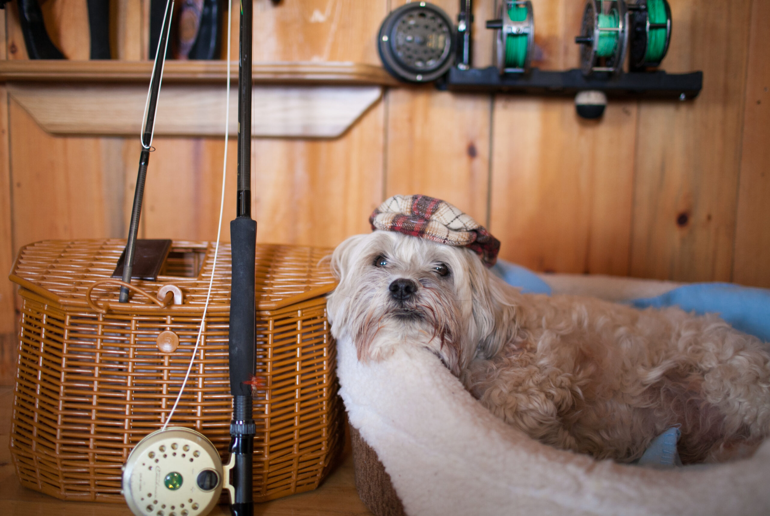 Main Gallery Display
