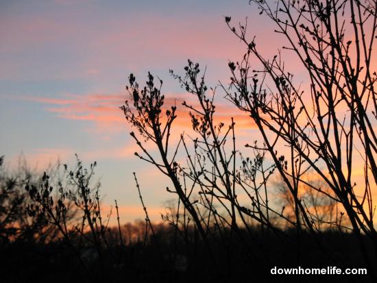 Main Gallery Display