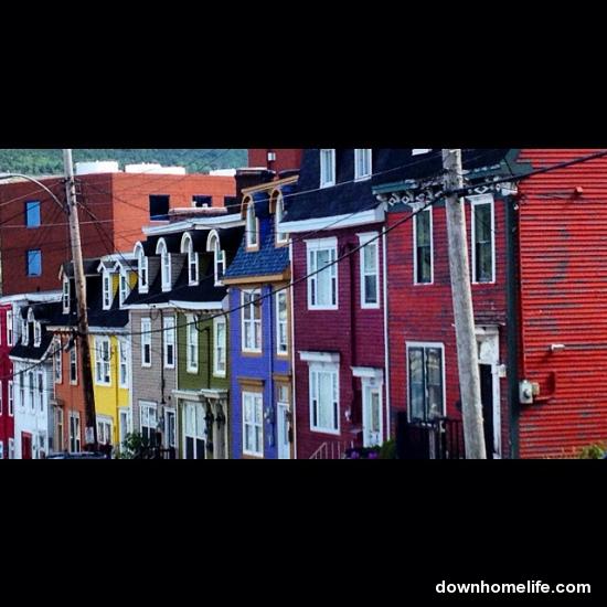 Main Gallery Display