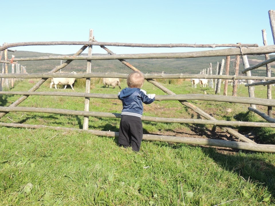 Main Gallery Display