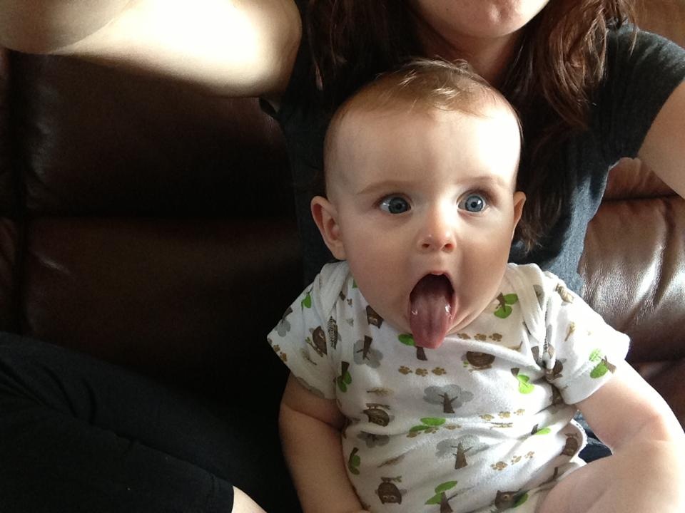 Main Gallery Display