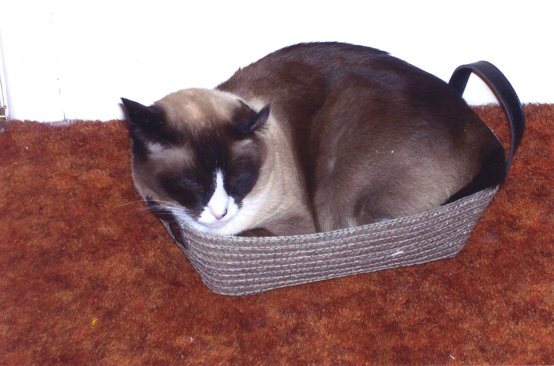 Main Gallery Display