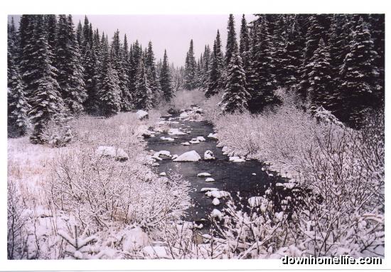 Main Gallery Display
