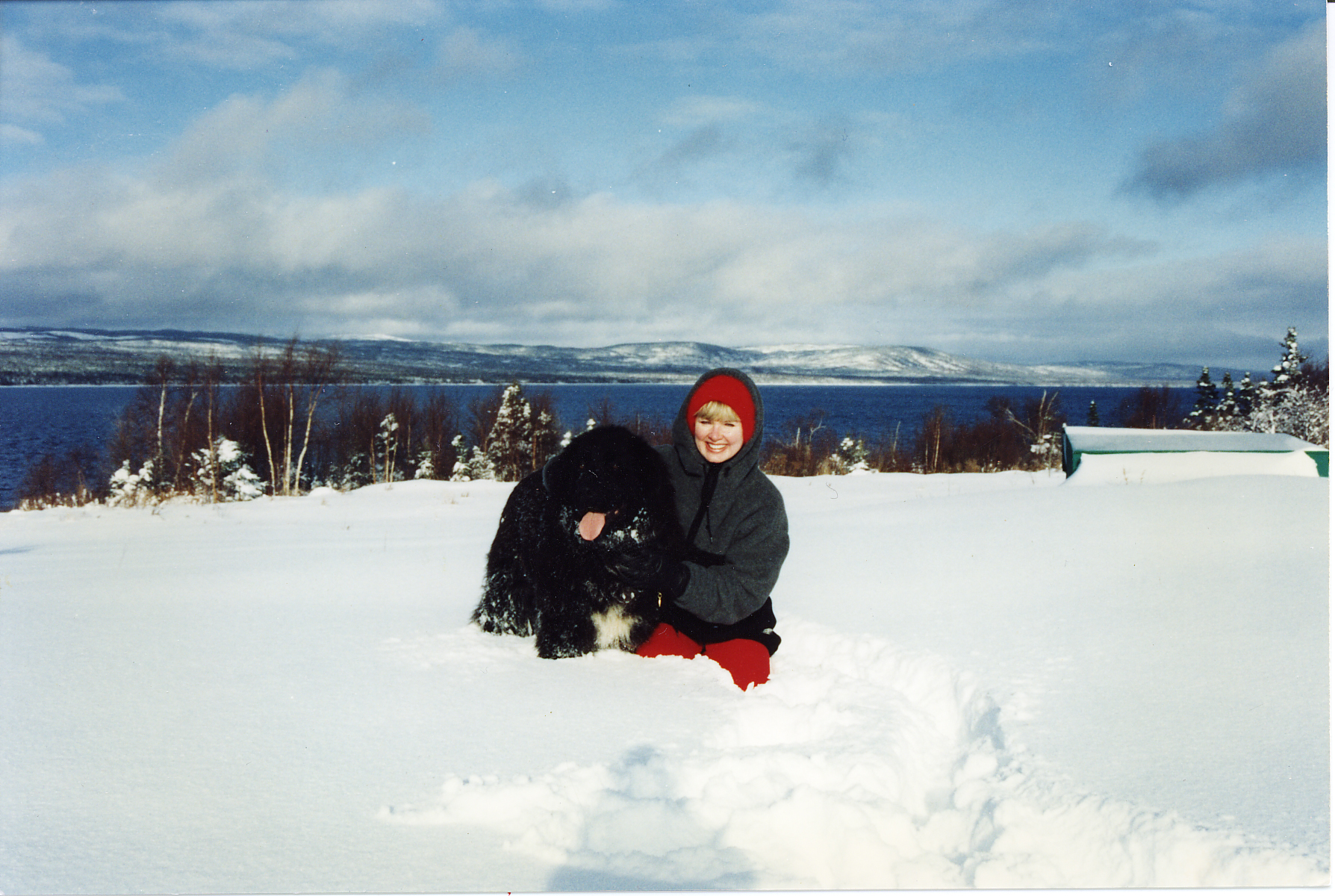 Main Gallery Display