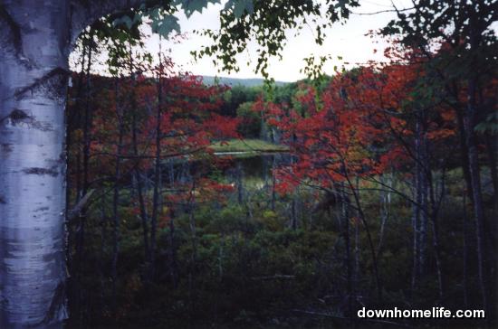 Main Gallery Display