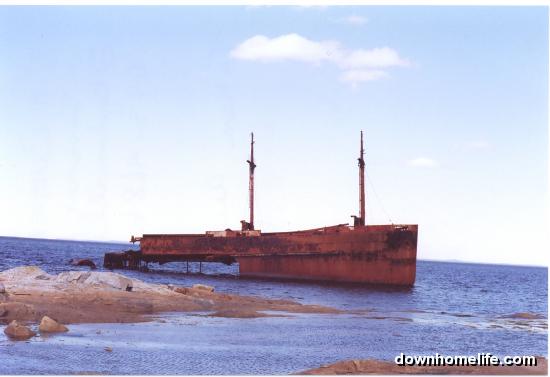 Main Gallery Display