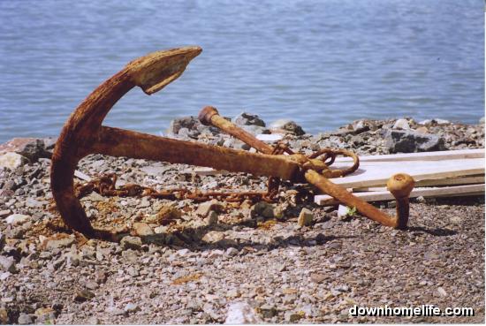 Main Gallery Display