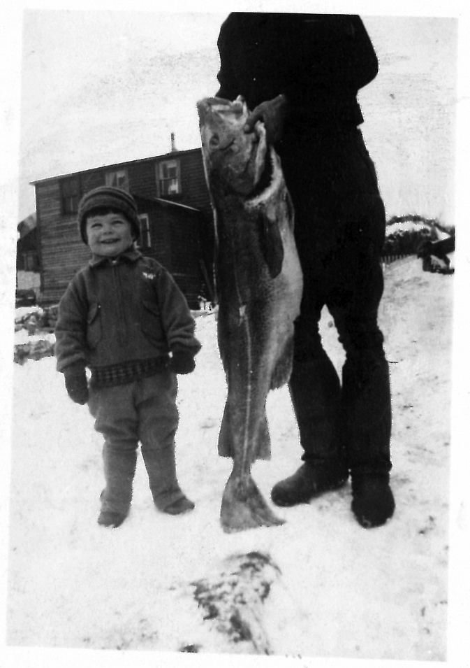 Main Gallery Display