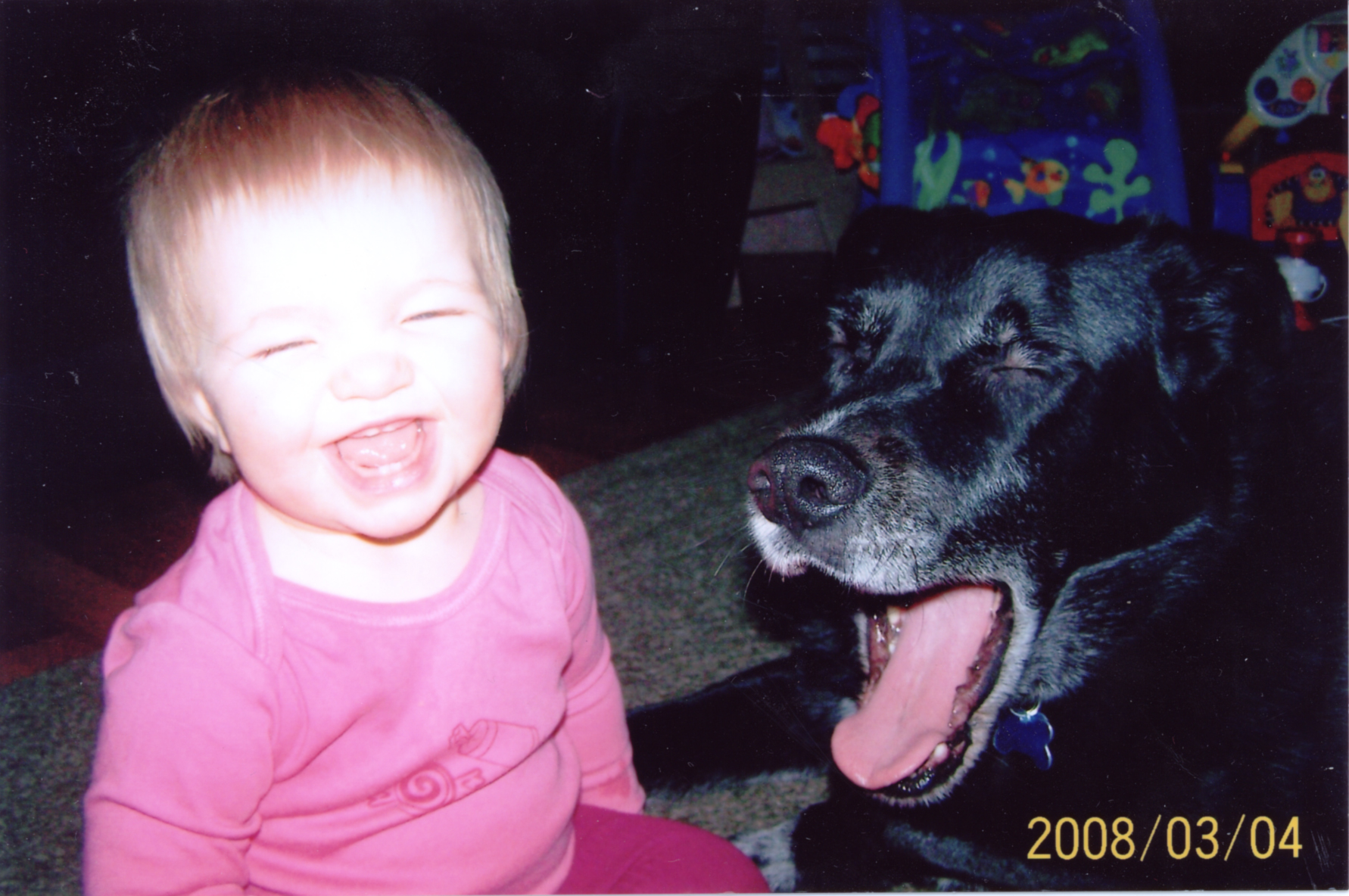 Main Gallery Display