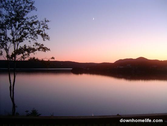 Main Gallery Display
