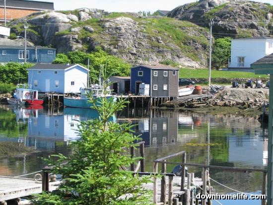 Main Gallery Display