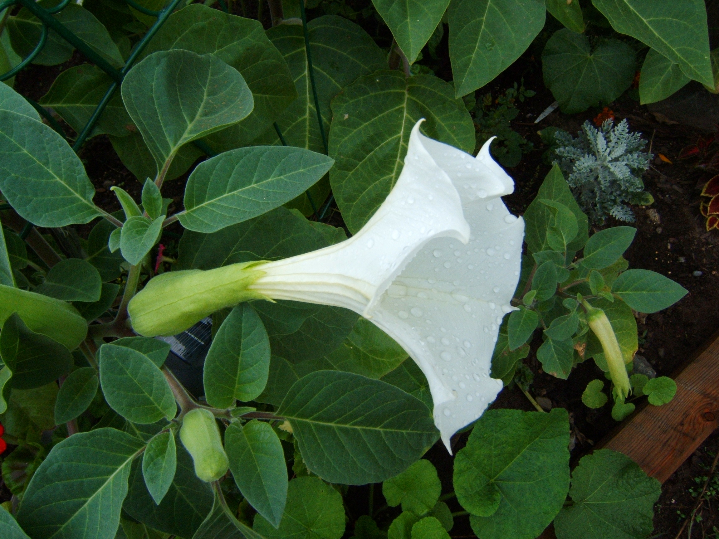 Main Gallery Display