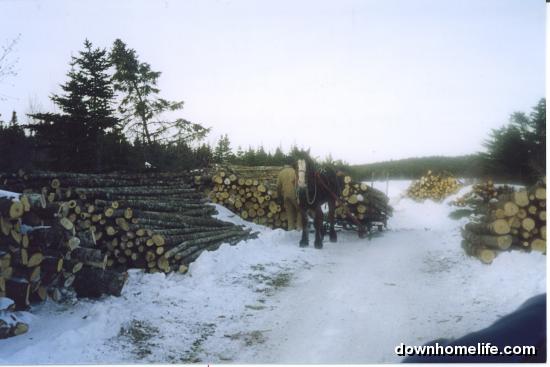 Main Gallery Display