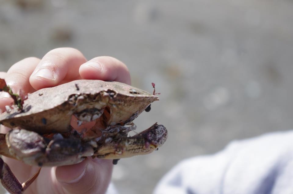 Main Gallery Display