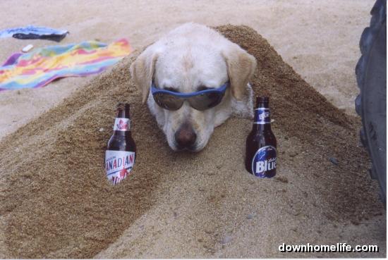 Main Gallery Display