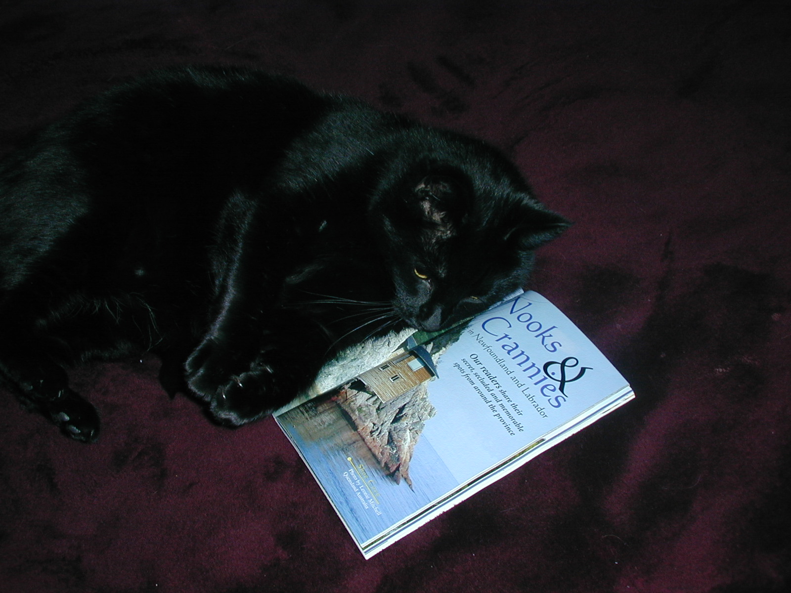 Main Gallery Display