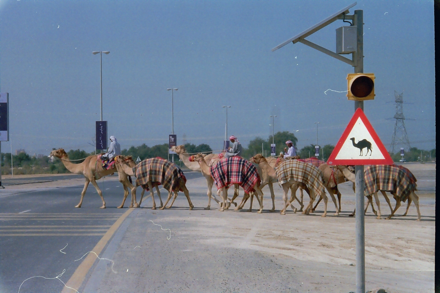 Main Gallery Display