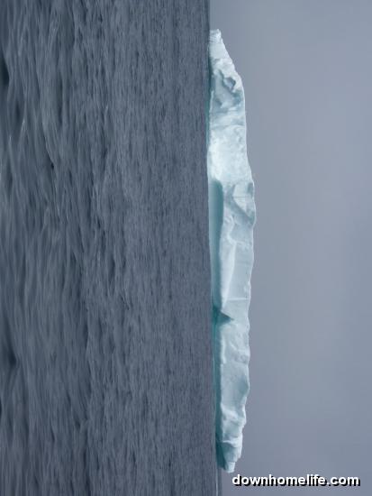 Main Gallery Display