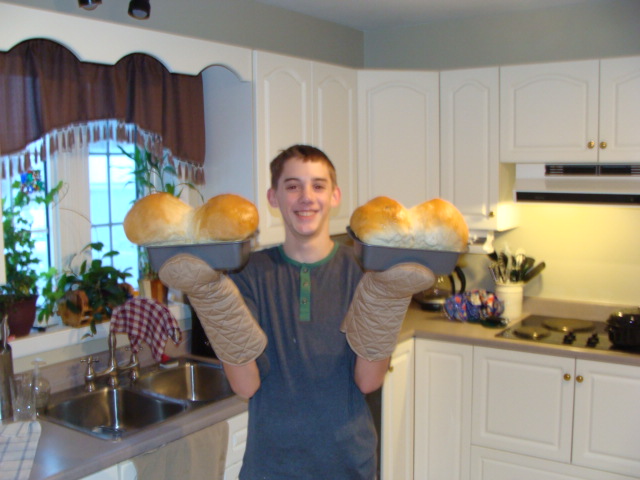 Main Gallery Display