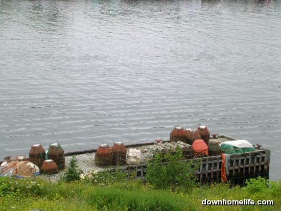 Main Gallery Display