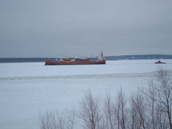Main Gallery Display