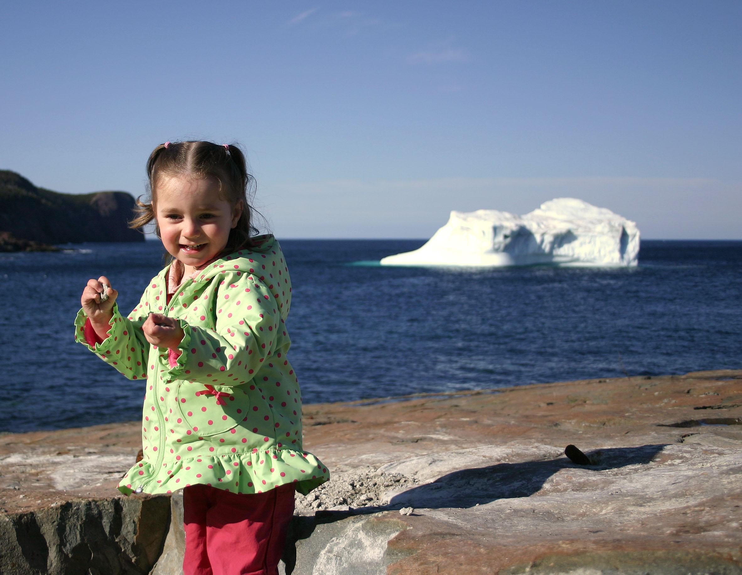 Main Gallery Display