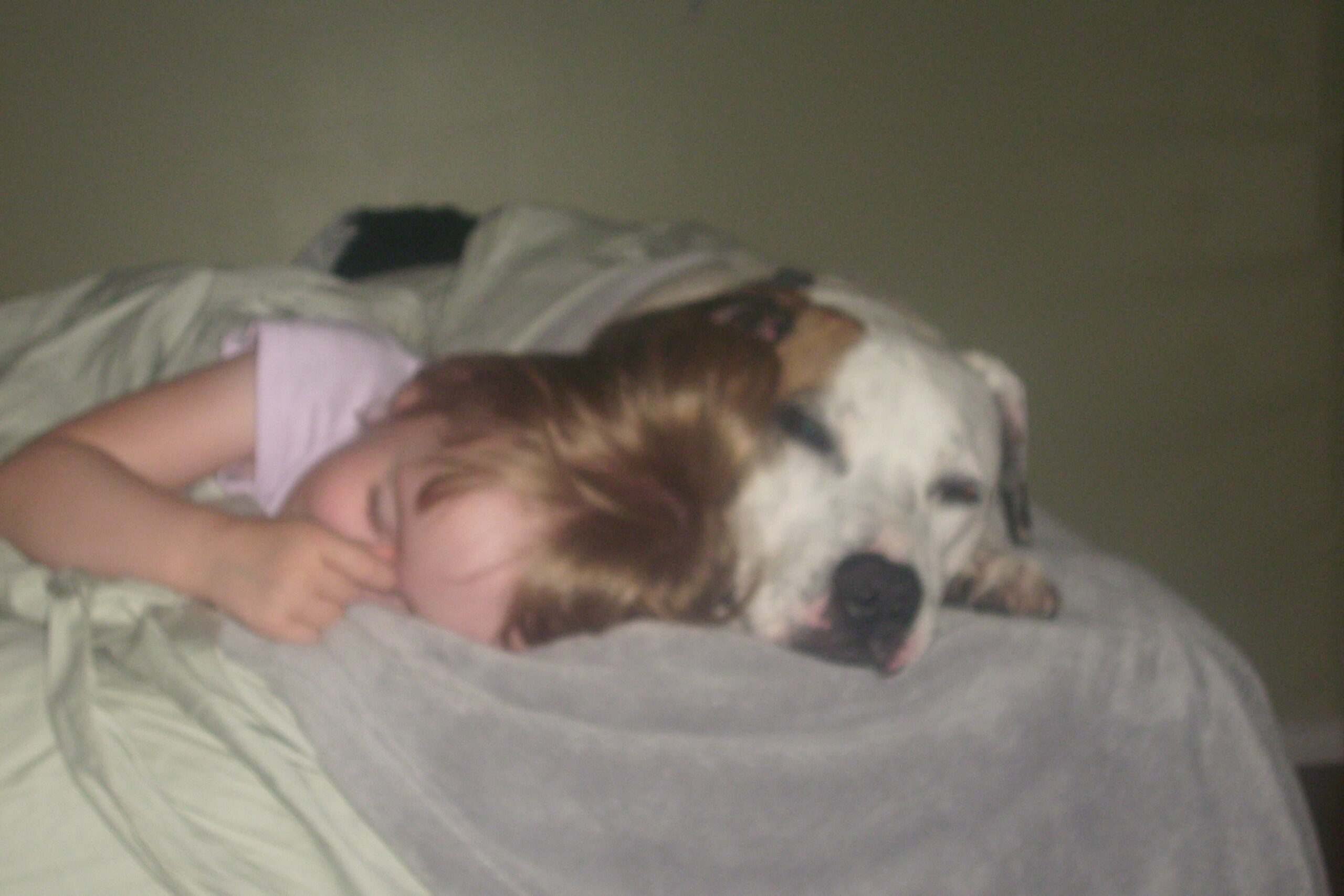 Main Gallery Display