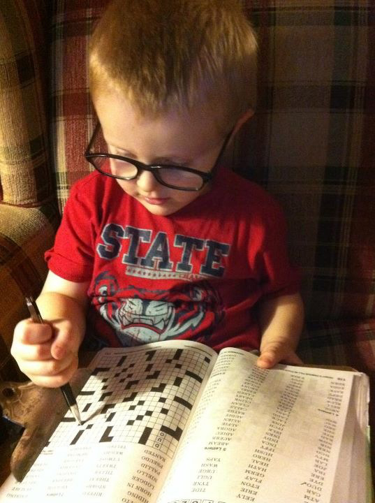 Main Gallery Display